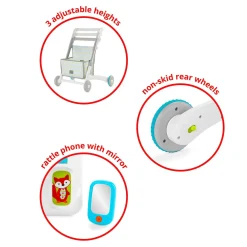 4 in 1 Activity Walker