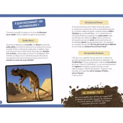 À La Découverte Des Dinosaures
