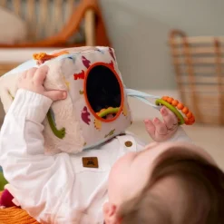 Activity Cube - Dino