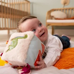 Activity Cube - Dino