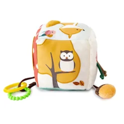 Activity Cube - Forest