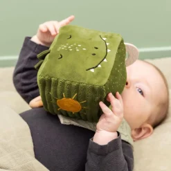 Activity Cube Mr Dino