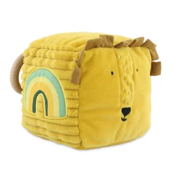 Activity Cube Mr Lion