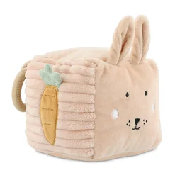 Activity Cube Mrs Rabbit