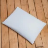 Adult Buckwheat Pillow