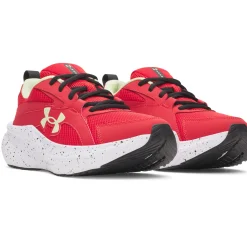 Assert 11 Shoes Size 4-7