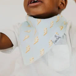Baby Bandana Bibs (4) - Rad