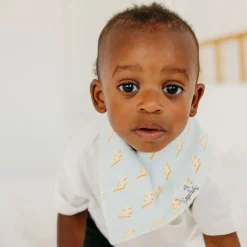 Baby Bandana Bibs (4) - Rad