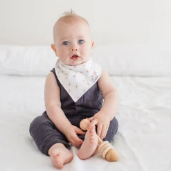 Baby Bandana Bibs (4) - Chip