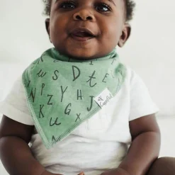 Baby Bandana Bibs (4) - Chip
