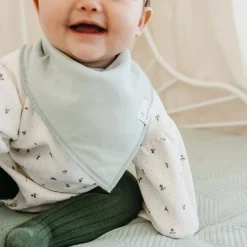 Baby Bandana Bibs (4) - Dinosaurs Rex