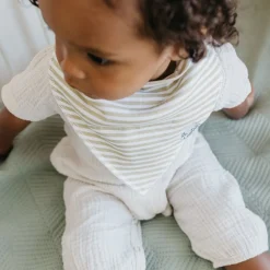 Baby Bandana Bibs (4) - Dinosaurs Rex