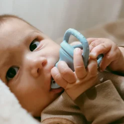 Baby Food Feeder - Leaf