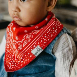 Bandana Bib (4)Western