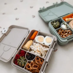 Bento Lunch Box - Dino Ville