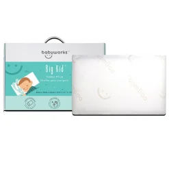 Big Kid Toddler Pillow