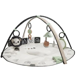 Black & White Décor Developmental Gymini