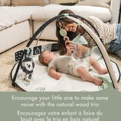 Black & White Décor Developmental Gymini