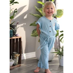 Blue Picnic Jumpsuit 2-8y