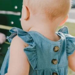 Blueberry Cuddles Dress 3-24m