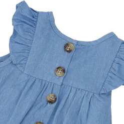 Blueberry Cuddles Dress 3-24m