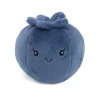 Blueberry Scented Plush Toy