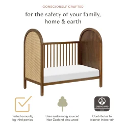 Bondi Cane 3-in-1 Convertible Crib with Toddler Bed Kit- Honey Cane