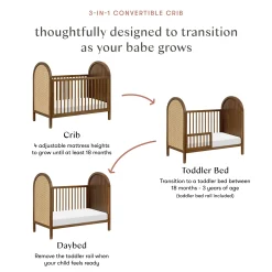Bondi Cane 3-in-1 Convertible Crib with Toddler Bed Kit- Honey Cane