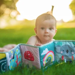 Book Koala Clip On Pram