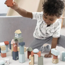 Building Blocks (50)