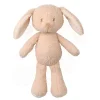 Bunnie Teddy