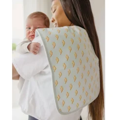 Burp Cloths (3) - Rad