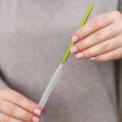 Cacti Brushes Set - Cactus