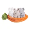 Carrot Learn & Grow 4 Pieces Set