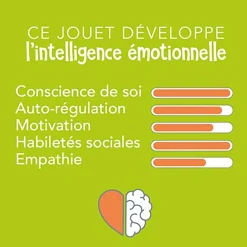 Casse-Tête De La Roue des Émotions