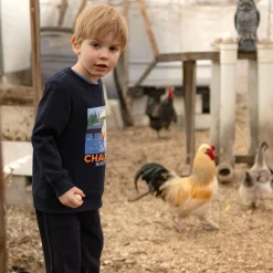 Chalet Dog Sweatshirt 2-10