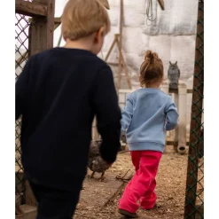 Chalet Dog Sweatshirt 2-10