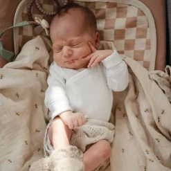 Changing Pad Liners (3) - Natural Check