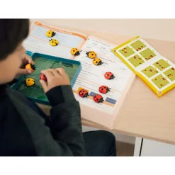 Coccinelles Demoiselles