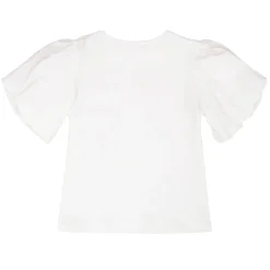 Daffodils Flower Top 3-6