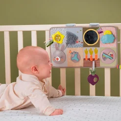 Developmental Activity center