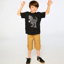 Dino Boys T-shirt 3-6