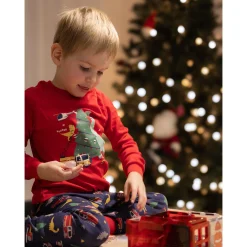 Dinosaures Pajamas 2-14y