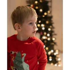 Dinosaures Pajamas 2-14y