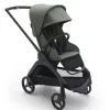Dragonfly Stroller - Black / Green
