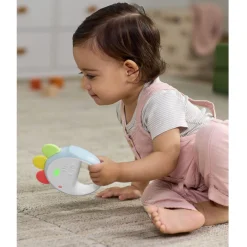 Farmstand Feelin' Clucky Musical Tambourine