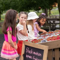 Flowers Frill Dress 2-12