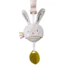 Garden Stroller Bunny Musical Toy
