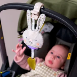Garden Stroller Bunny Musical Toy