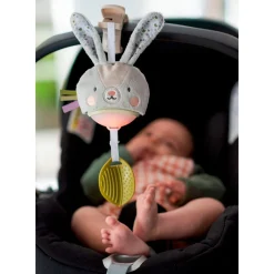 Garden Stroller Bunny Musical Toy